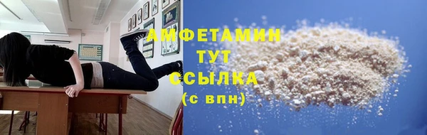 шишки Сатка
