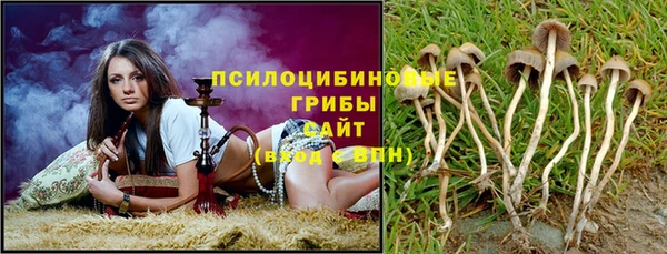 дживик Беломорск