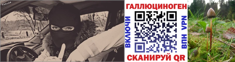 Псилоцибиновые грибы Cubensis  Кыштым 